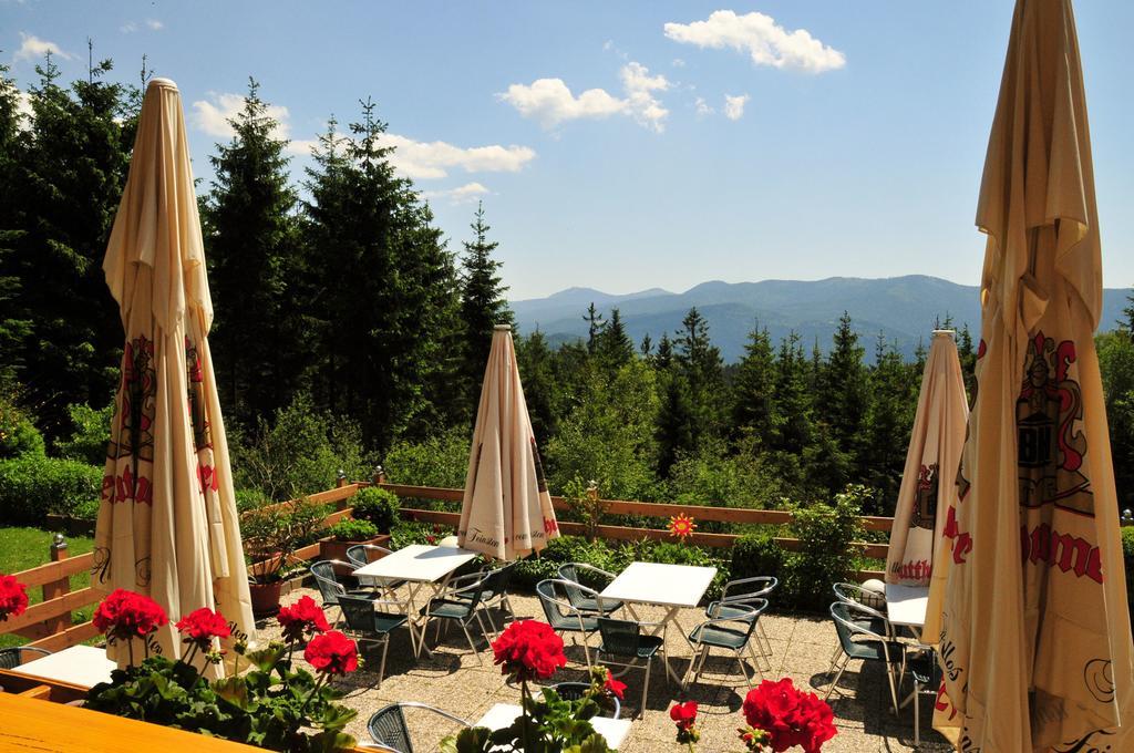 Kolmsteiner Hof Hotel Neukirchen beim Heiligen Blut Bagian luar foto